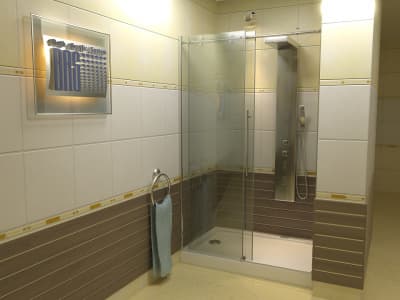 душевая дверь bas пуэрта 130x190