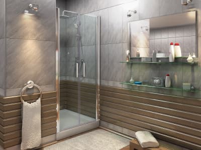 душевая дверь bas пандора sd 100x185